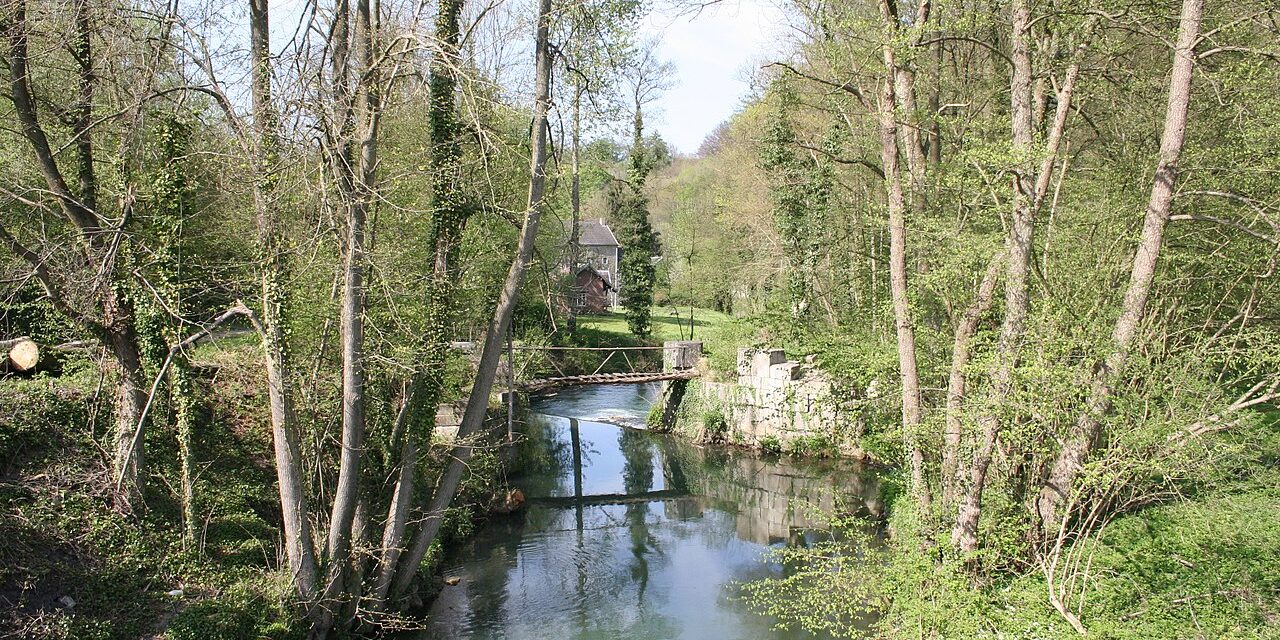 Romont to Modave: A Hamlet Devastated by Storms