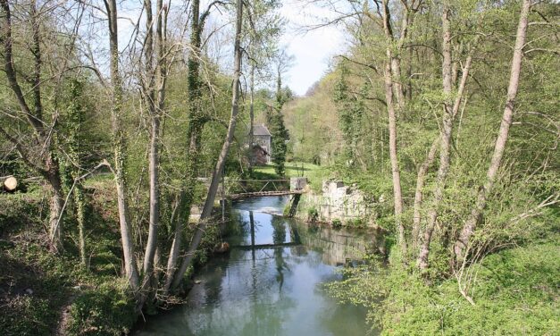 Romont to Modave: A Hamlet Devastated by Storms