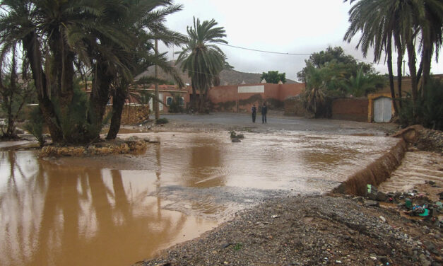 Over 75 Dead in Morocco and Algeria Following Floods