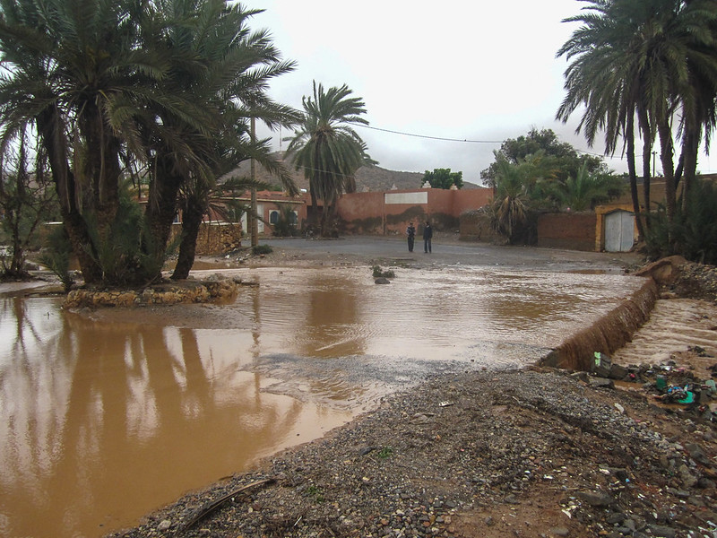 Over 75 Dead in Morocco and Algeria Following Floods